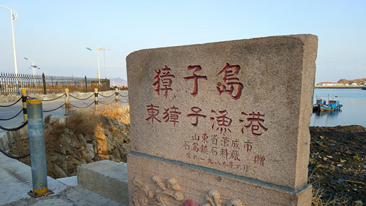 大量外购扇贝再加工？深交所再对獐子岛发关注函