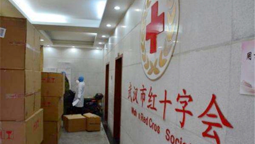 武汉市红十字会接收捐赠超6亿元 存在调拨不够及时等问题